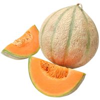 Sandveld Seeds Hale's Best Melon - Spanspek